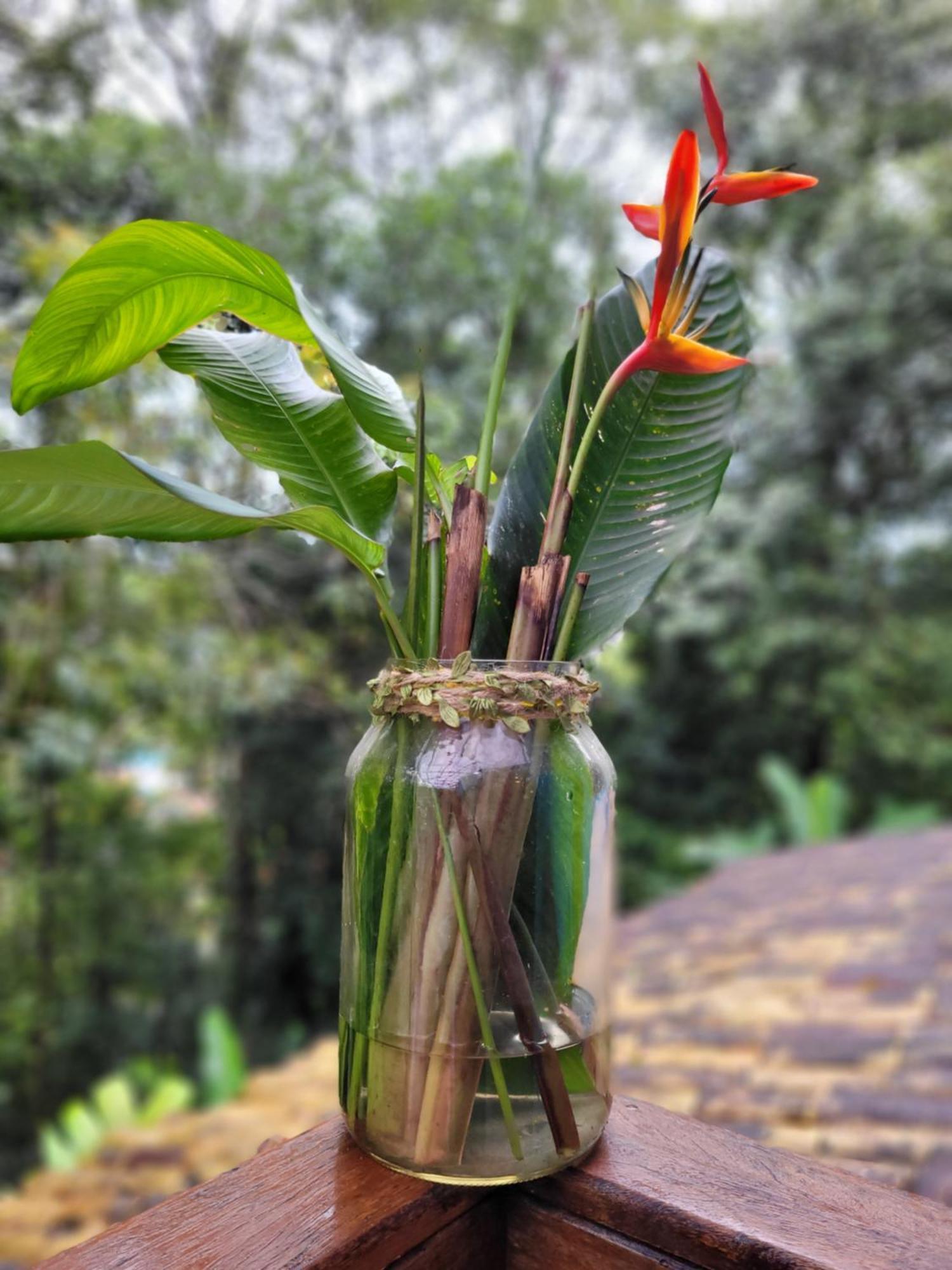 Estudio Aconchegante No Litoral - โบยกูกันกา ภายนอก รูปภาพ